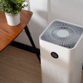 The Hidden Dangers of HEPA Air Purifiers