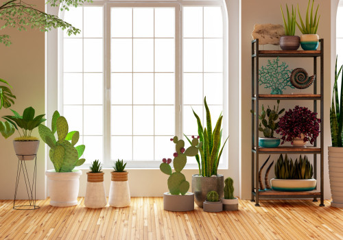 The Truth About Air Purifying Plants: Debunking the Myths